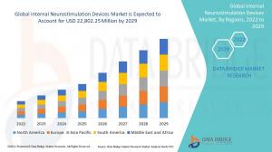 global internal neurostimulation devices market