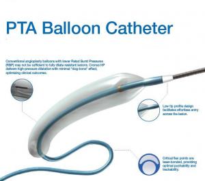 PTABalloon Catheter Market