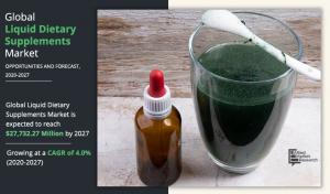 Liquid Dietary Supplements Market by IngredientY