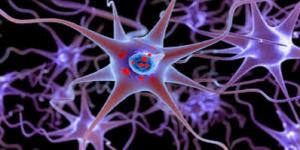 Parkinson’s Disease Therapeutics Market Share