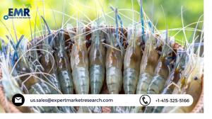 Shrimp Market Share