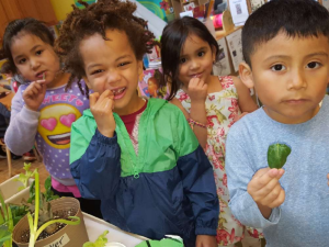 Children from Daybreak Star Preschool Much on CACFP Food