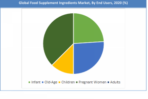 Food Supplement Ingredients Market Size