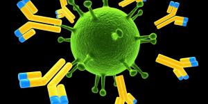 Immunoglobulin