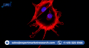 Live Cell Imaging Market