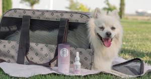 Zenwag Offers the top 9 reasons pet owners are using CBD products for their pets
