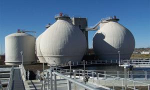 Biogas Market