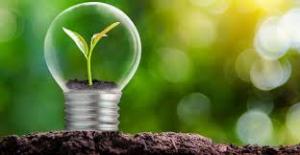 Bio-based PET Market