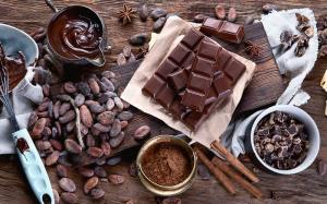 Cocoa & Chocolate Market