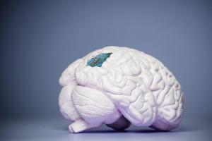 advances in brain computer interfaces to restore movement