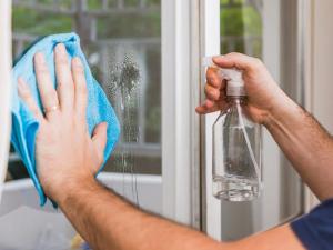 Household Cleaners Market Outlook