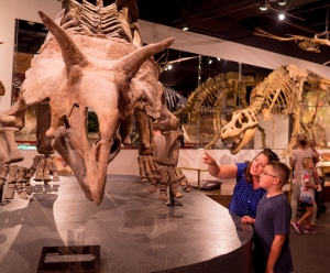 A family looking at the bones of a dinosaur at a museum in Mesa, AZ