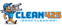 Clean425 Logo