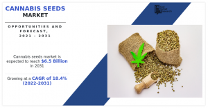 Cannabis Seeds Market Projected to Reach .5 Billion by 2031, Fueled by Legalization and Health Benefits.