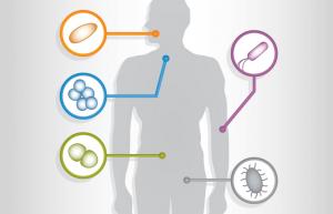 Human Microbiome Market Research Report 2022-2027