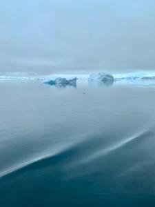 Argentine-Antarctica-Landscape