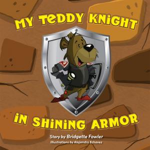 My Teddy Knight in Shining Armor cover