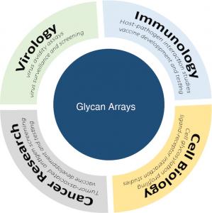 Glycomics / Glycobiology Market