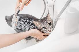 Animal Hygiene Products Market