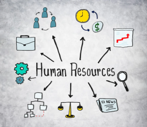 Human Resources Information System (HRIS) software
