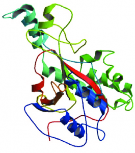 Microbial Transglutaminase market