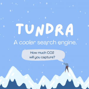 Tundra is a search engine that offsets carbon to help cool the planet