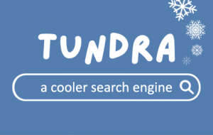 Tundra is a search engine that offsets carbon to help cool the planet