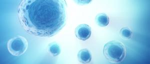 Cell Analysis Market
