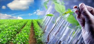 Renewable Chemicals Market