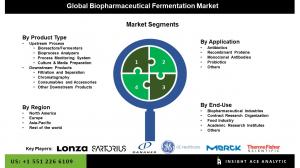 Global Biopharmaceutical Fermentation Market seg