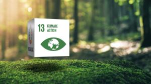 SDG cube floating in paradise