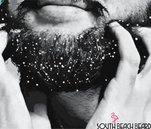 South Beach Beard 4