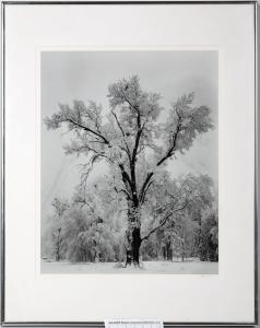 Ansel Adams signed and framed Yosemite photo from around 1959, thought to be part of Adams’s late 1950s winter shots that led to his signed and numbered edition series ($38,750).