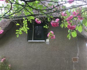 When Winter comes... can Spring be far behind?
