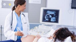 Point of Care Ultrasound Market