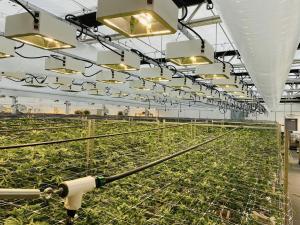 gGRO install by BYLTup at Rove and Dr. Robb Farms