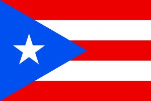 Puerto Rico Flag in Toothbrush Pillow Press Release