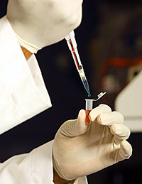 Human Parainfluenza Viruses Diagnostics Market