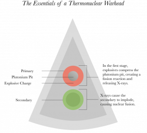 Diagram of nuclear warhead with plutonium pit, by South Carolina Environmental Law Project (SCELP)