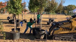 TTF staff prepares 18 different species for planting across school grounds