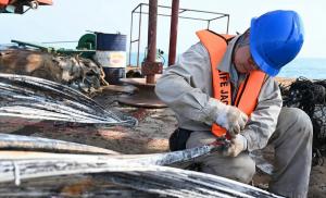 Reparación de los cables submarinos
