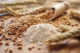 Defatted Wheat Germ Powder Market