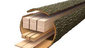 Cross-Laminated Timber Market