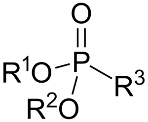 Phosphonates Market Growth