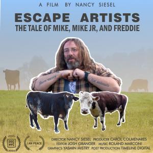 Escape Artists: The tale of Mike, Mike Jr. and Freddie a film by Nancy Siesel. Image of a man, Mike Stura, showing his arm tattos with the words "Show mercy for animals", below him the picture of two cows: Mike Jr. and Freddie. The DOC NYC laurels and the