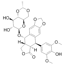 Global Etopophos (CAS 33419-42-0) Market