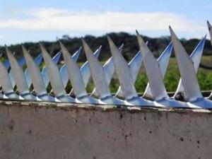 Wall Spikes market