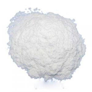 Propionic Acid Market Share