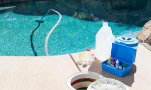 Swimming Pool Treatment Chemicals market
