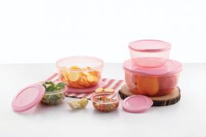 Home Food Containers Market